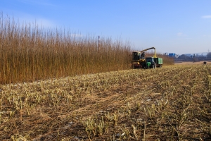 FAKRO a fianco della sostenibilità e dell&#039;efficienza energetica